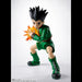 HUNTER x HUNTER - FIGURINE GON FREECSS SH FIGUARTS JAPANDCO 3