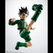 HUNTER x HUNTER - FIGURINE GON FREECSS SH FIGUARTS JAPANDCO 5