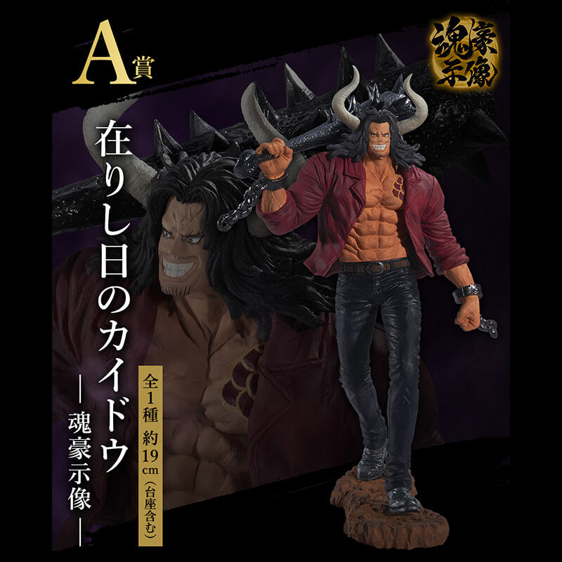 Retrato de Kaido