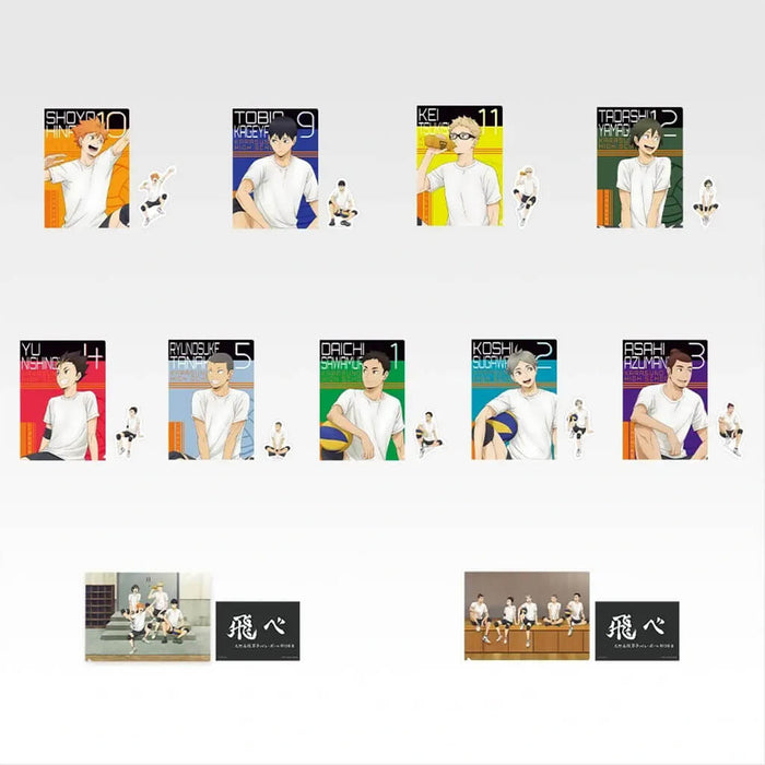ICHIBAN KUJI HAIKYU!! KARASUNO'S FUTURE - CLEAR FILE + STICKERS FULL SET LOT J