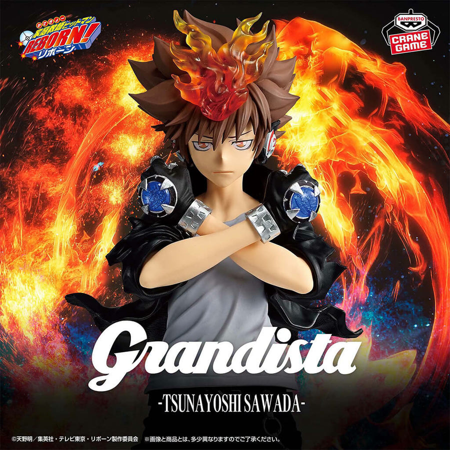 Portrait of Tsunayoshi Sawada