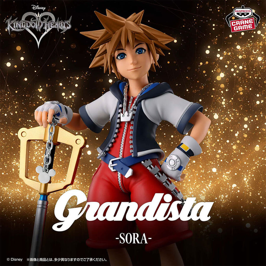 Portrait of Sora