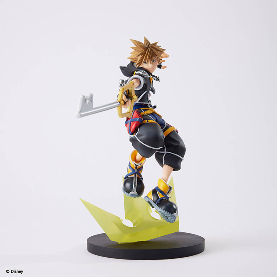 Portrait of Sora