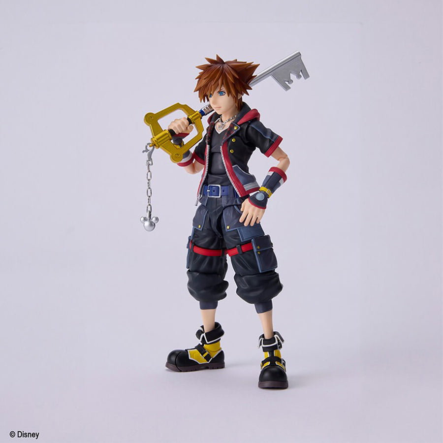 Portrait de Sora