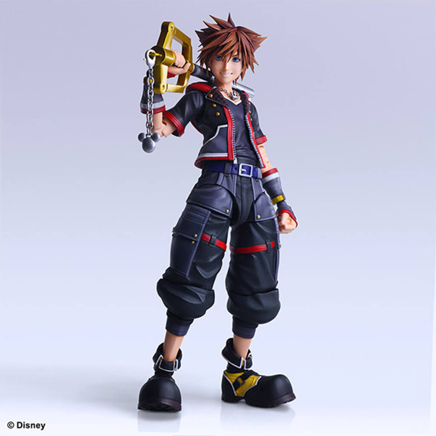 Portrait de Sora