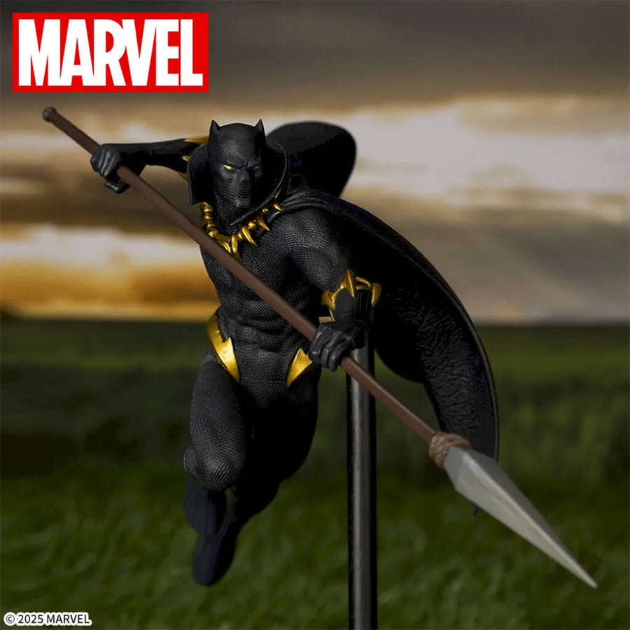 Portrait de Black Panther