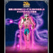 SAINT SEIYA - FIGURINE ANDROMEDA SHUN (INITIAL BRONZE CLOTH) 20th ANNIVERSARY VER. JAPANDCO 1c