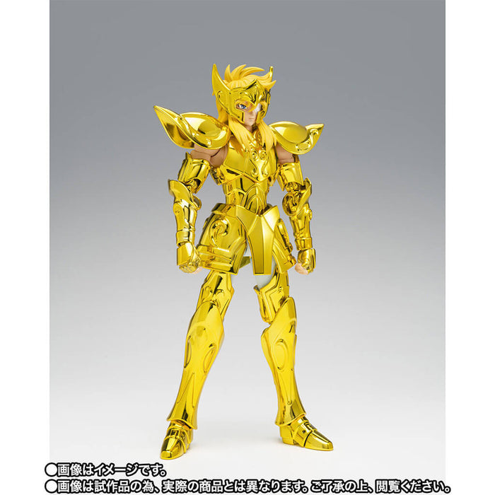 SAINT SEIYA - FIGURA HYOGA DE ACUARIO (SUCESOR DE LA TELA DORADA) SAINT CLOTH MYTH EX