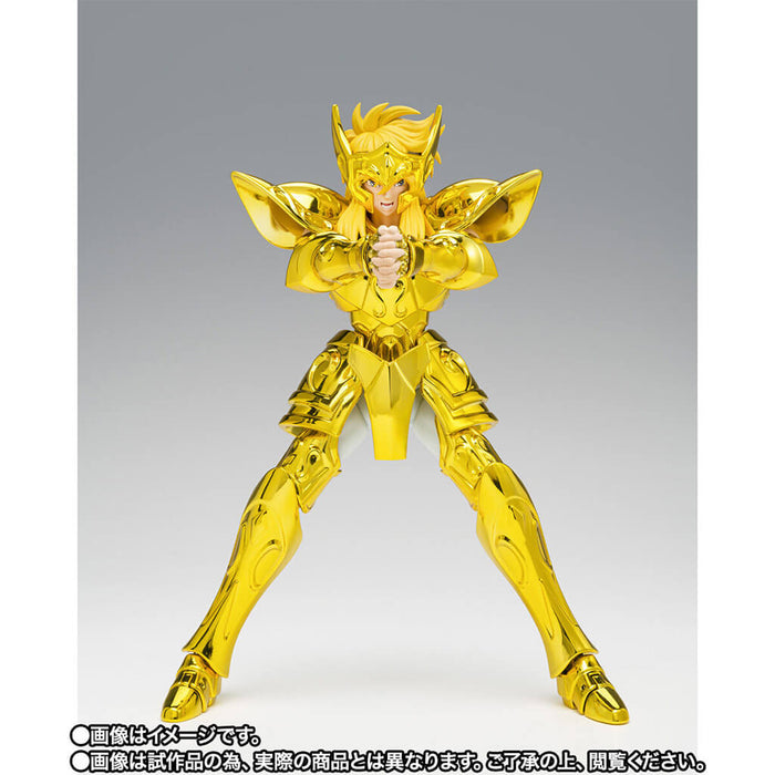 SAINT SEIYA - FIGURA HYOGA DE ACUARIO (SUCESOR DE LA TELA DORADA) SAINT CLOTH MYTH EX