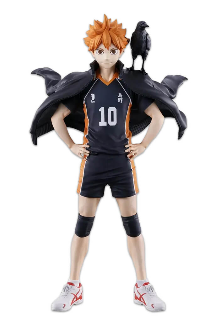 Portrait of Shoyo Hinata